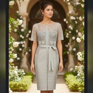 Like New Lequile Carissma Byron Lars Elegant Lace Dress in Light Gray Lace